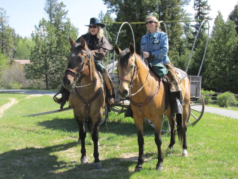 7 Best Horseback Riding Vacations for Single Travelers Horse Rookie