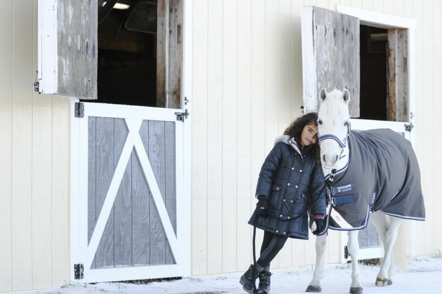 7 Best Blankets for Happy Horses (Winter, Turnout, Rain)