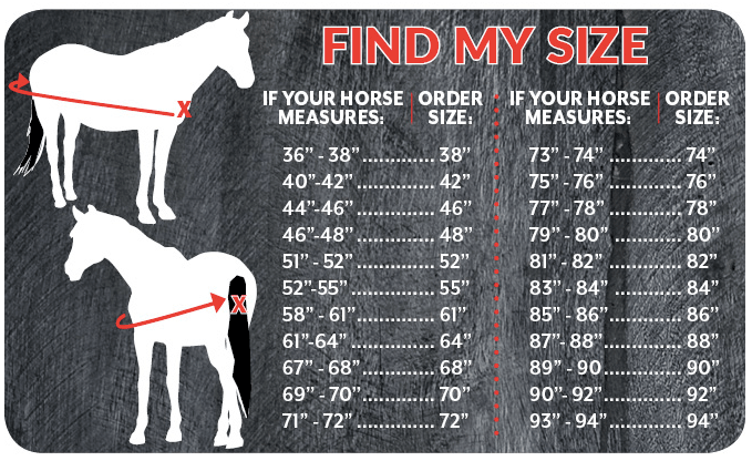 how to fit horse blanket