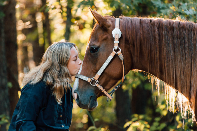 horse photography tips