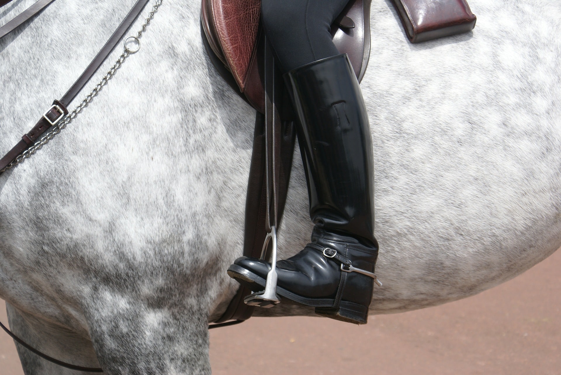 best dressage riding boots