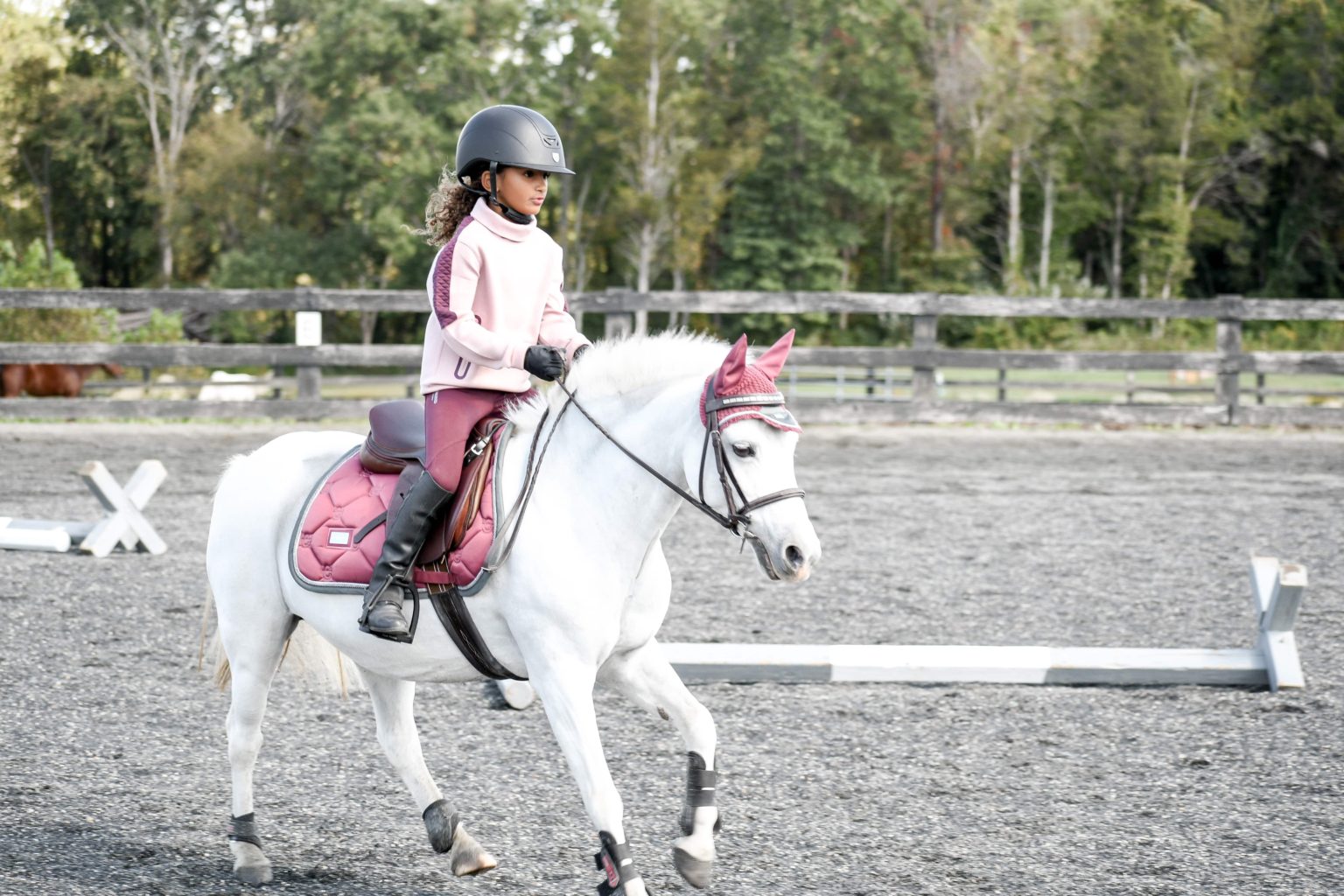 12 Pointers for Jumping Crossrails with Confidence Horse Rookie