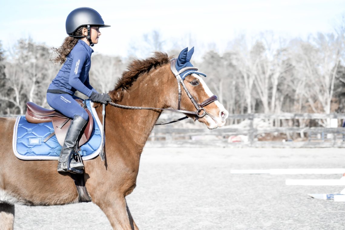 12 Pointers for Jumping Crossrails with Confidence Horse Rookie