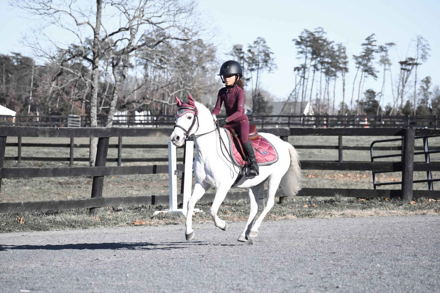 12 Pointers for Jumping Crossrails with Confidence Horse Rookie