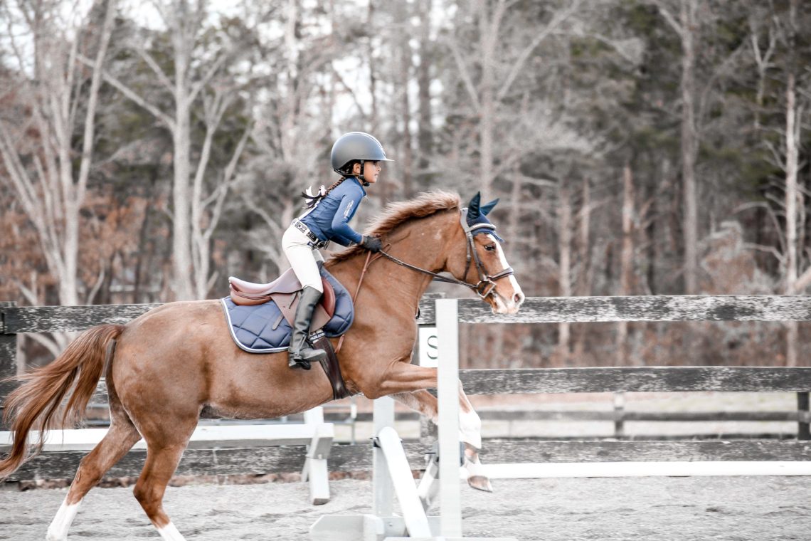 12 Pointers for Jumping Crossrails with Confidence - Horse Rookie