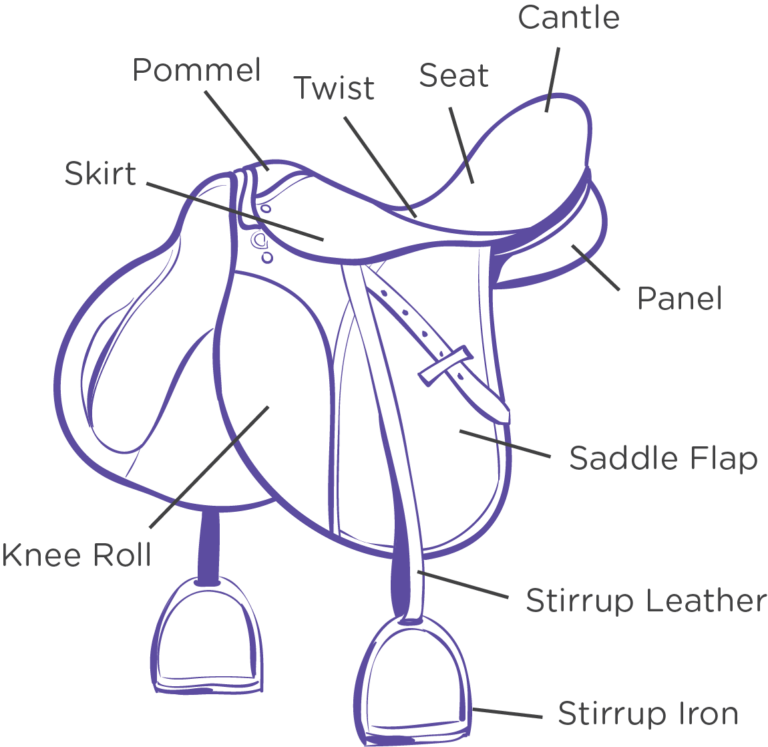 Can You Put English Stirrups On A Western Saddle? - Horse Rookie