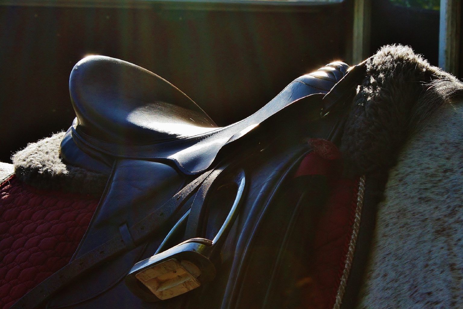 Can You Put English Stirrups On A Western Saddle 