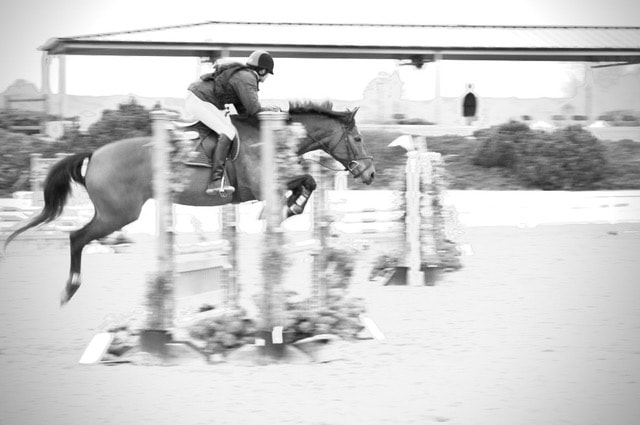 jumping horse 4 feet