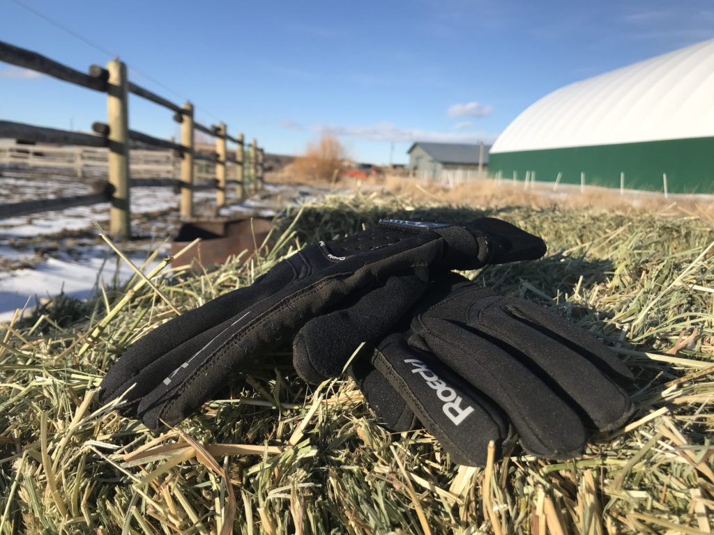 Roeckl winter riding gloves sitting on hay bale
