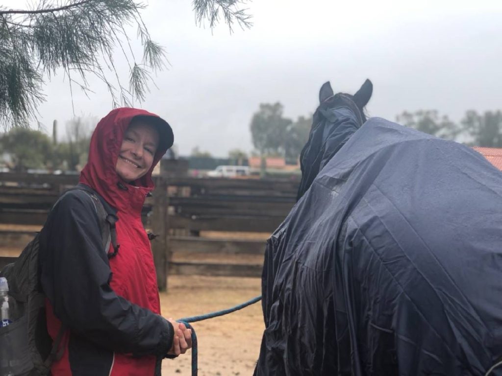 rain and horses