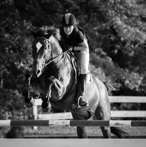 horse jumping black and white