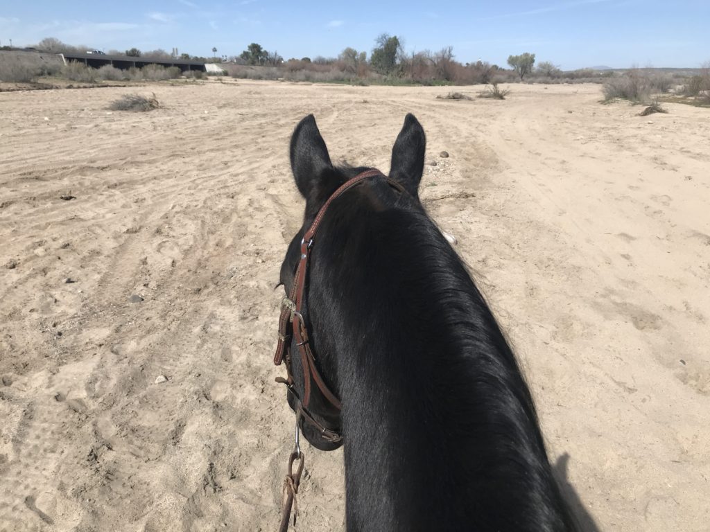 riding black horse on sand
