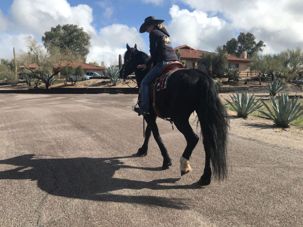 girl riding black horse