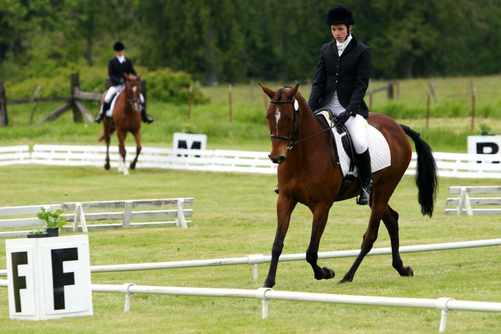 A typical Dressage arena is 20m x 60m
