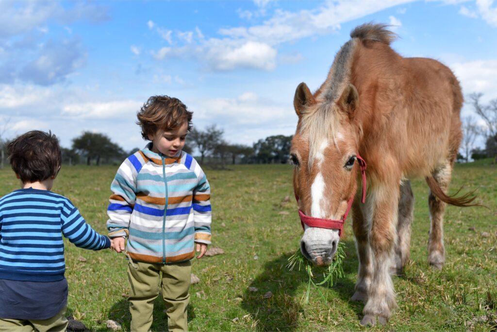 Children with Pony