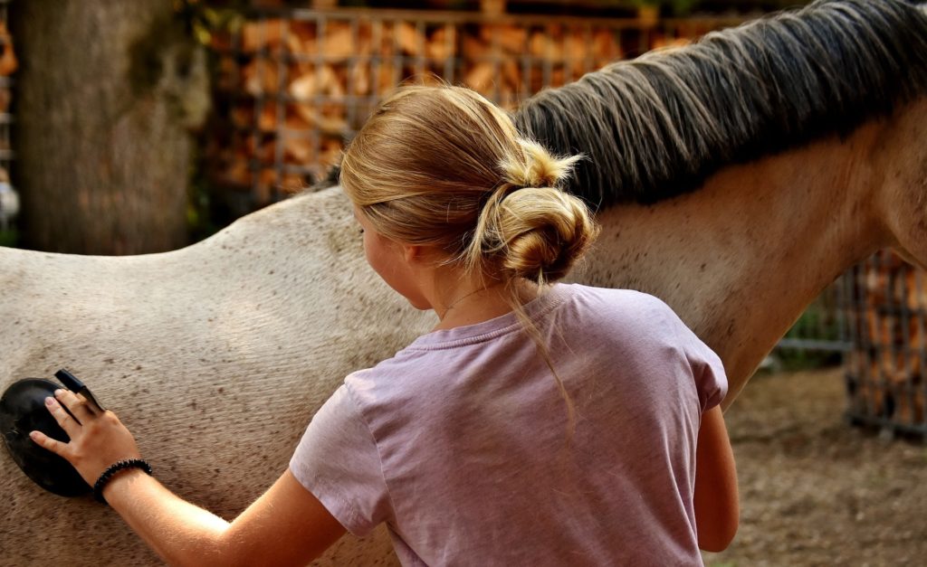 horse grooming girl