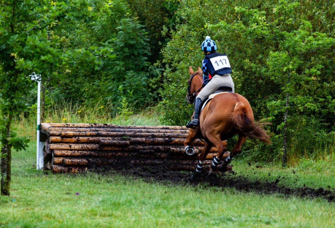 What Is A Neck Strap For Horses How Do You Use One Horse Rookie what-is-a-neck-strap-for-horses-how-do-you-use-one-horse-rookie