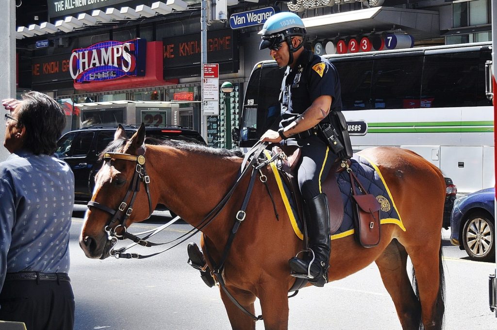 police horse