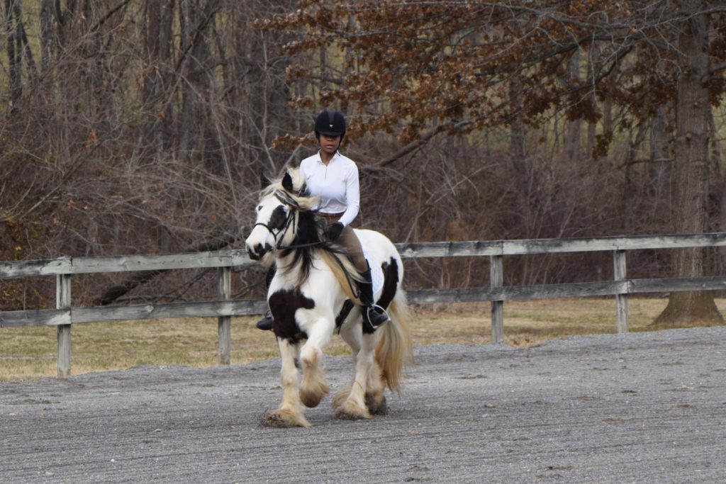 poster un cheval de trot