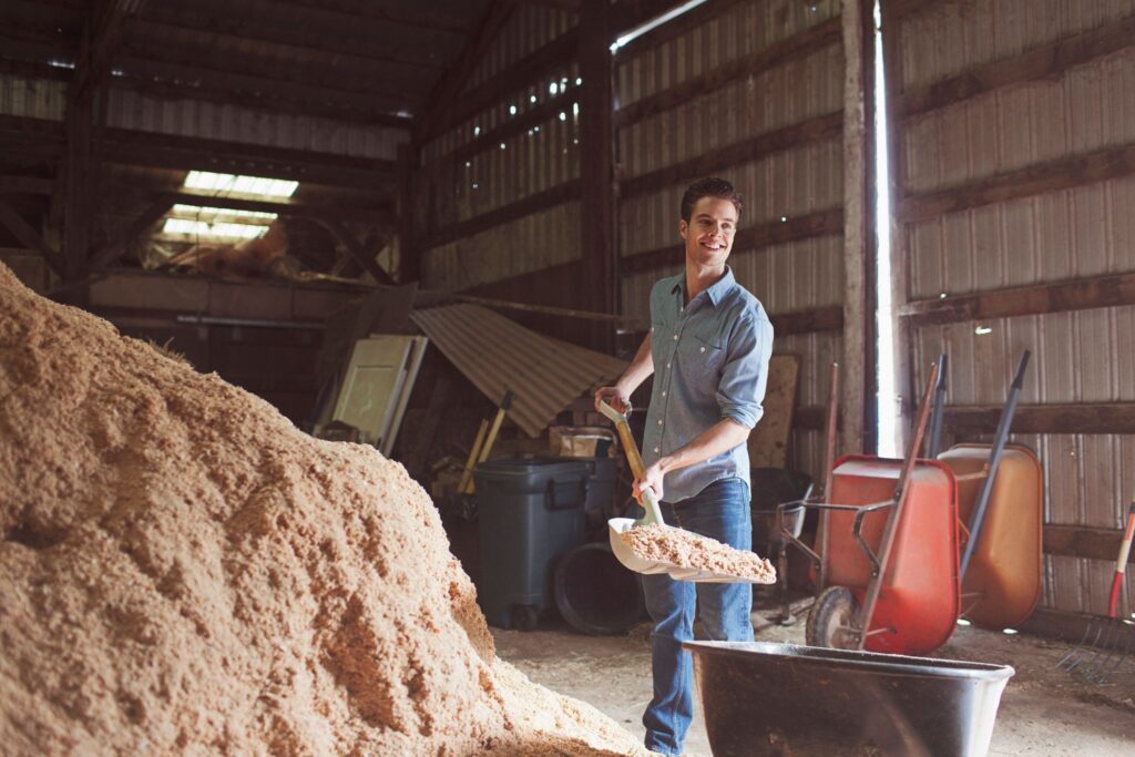 man shoveling shavings into a wheelbarrow