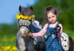 pony with flower wreath and little girl