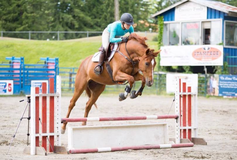 different types of horse jumps