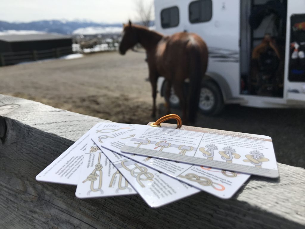 horse knot tying guide review corral cards