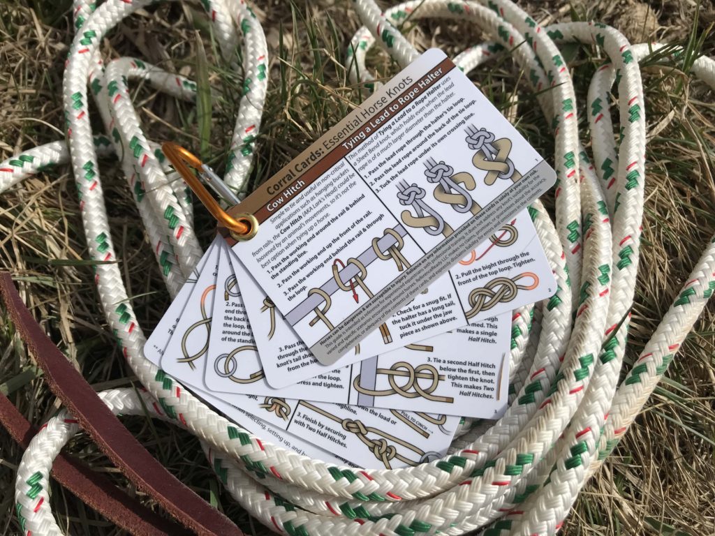 horse knot tying guide corral cards