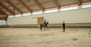 Rider with coach in arena