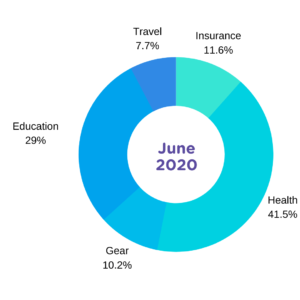 cost of horse june 2020