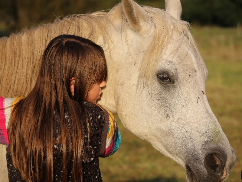 horse hugging little girl