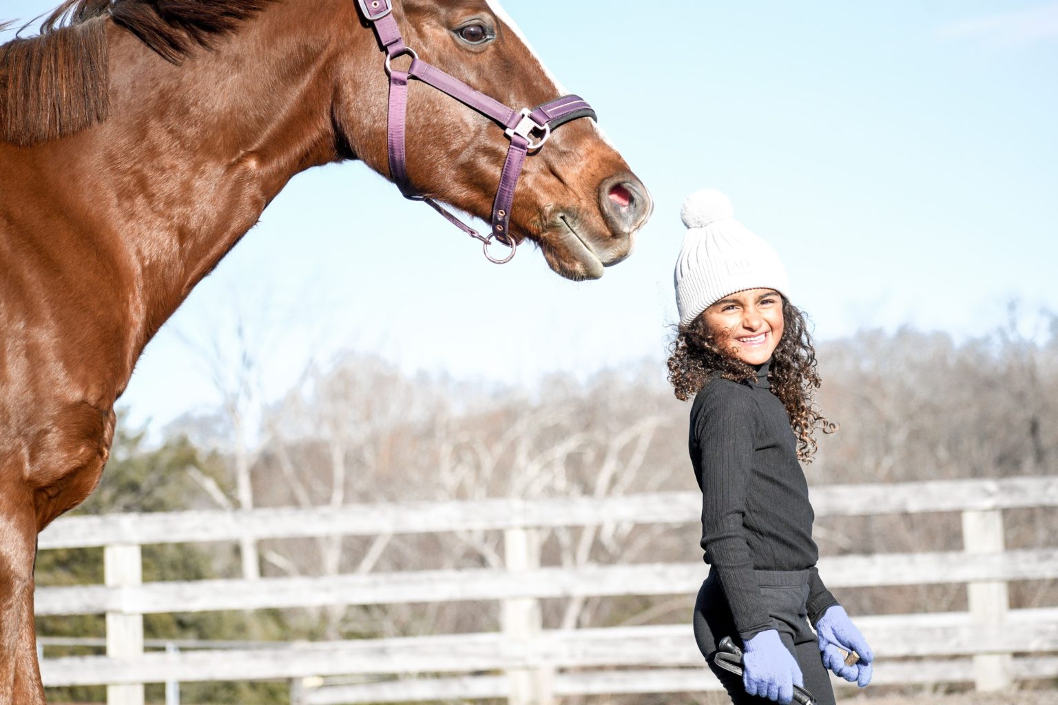 Bonding 101: How to Make the Most of Your Horse Time - Horse Rookie