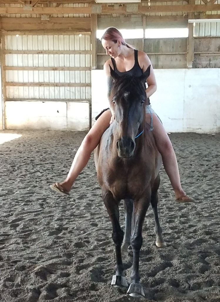 bareback horse riding mare