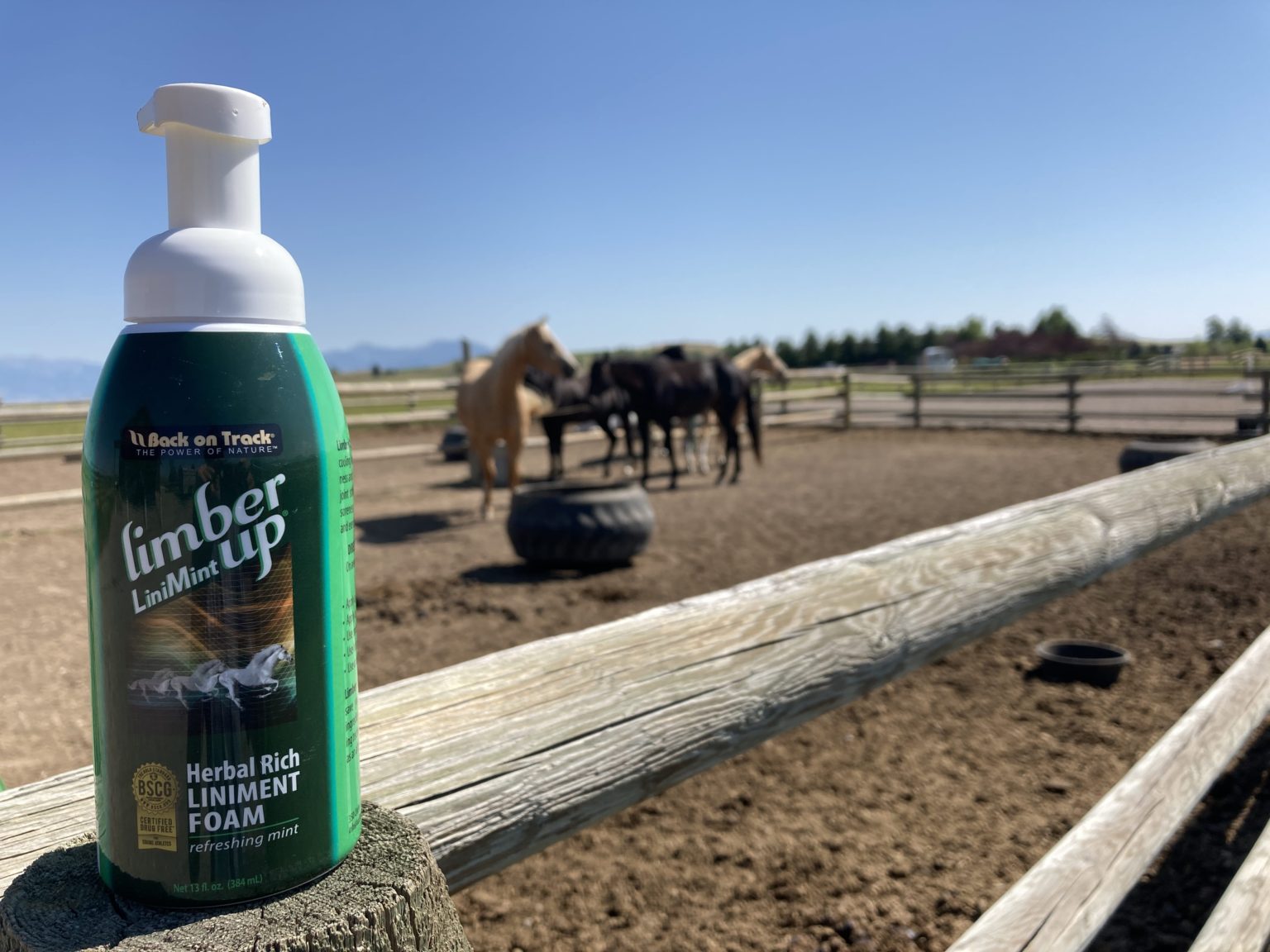 When, Why, and How to Use Liniment on Horses Horse Rookie