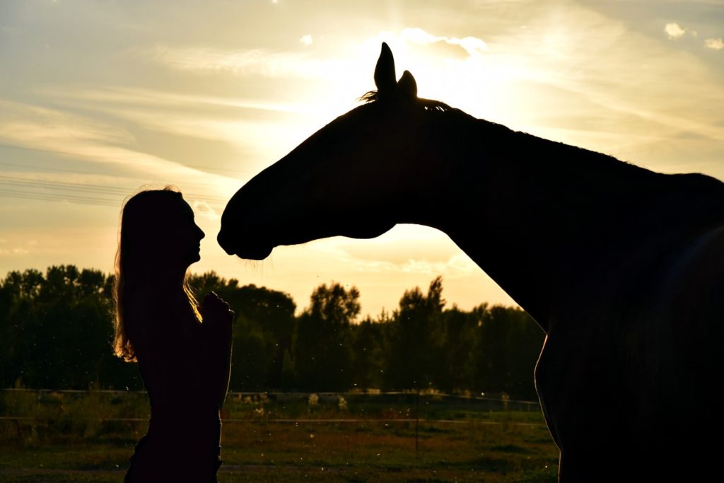 horse and girl sunset