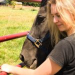 lindsey rains horse