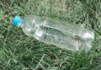 plastic bottle in grass