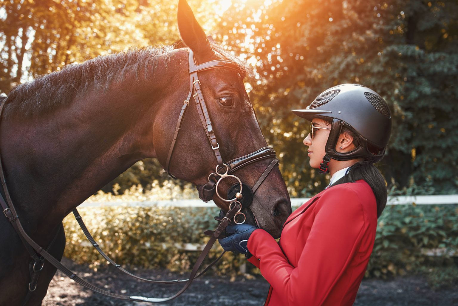 10 Best Horse Riding Helmets (Dressage, Jumping, Etc.) - Horse Rookie