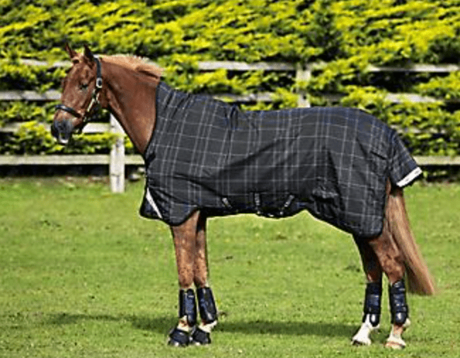 Horse care 101 Turnout blankets vs. stable blankets Horse Rookie