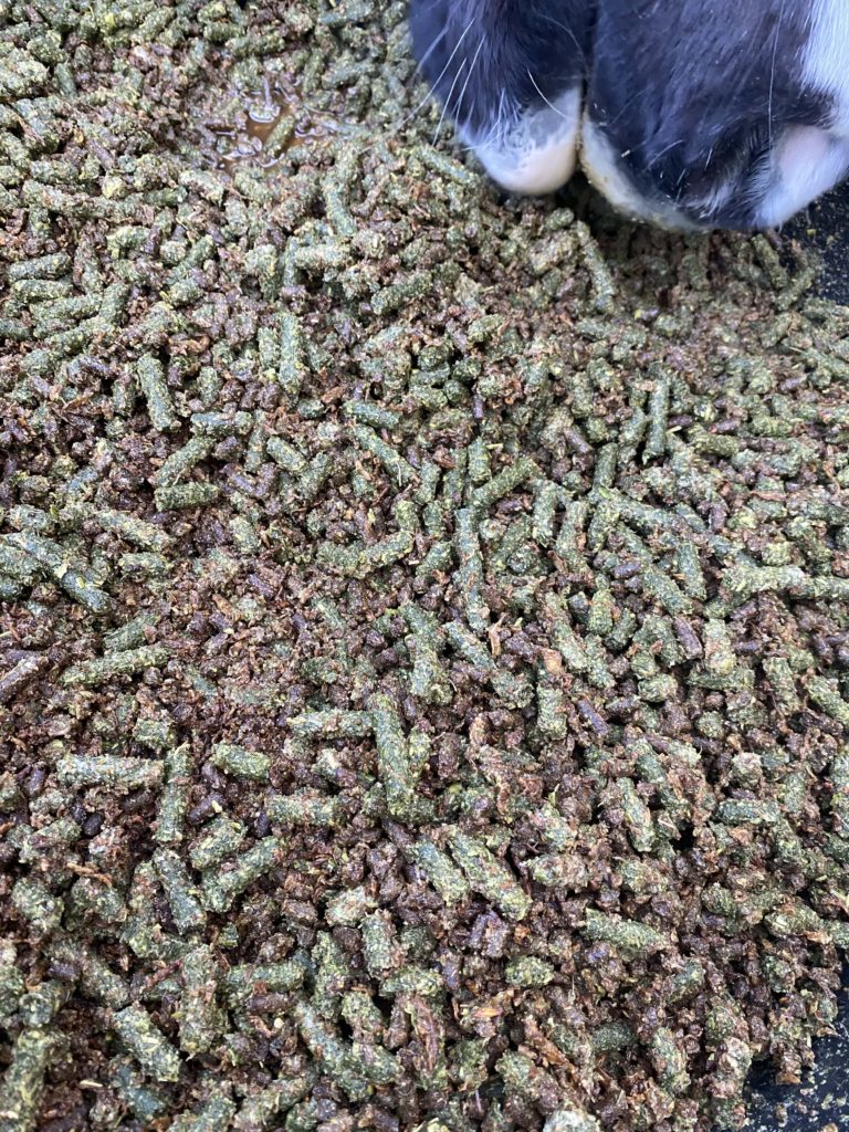 horse grass pellets senior feed