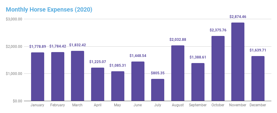 2020 expense summary