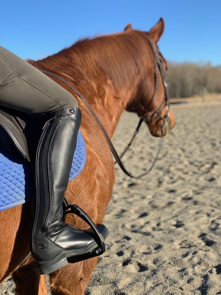 Ariat v 2025 sport tall zip