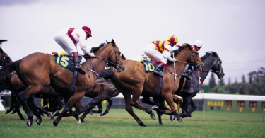 horse race