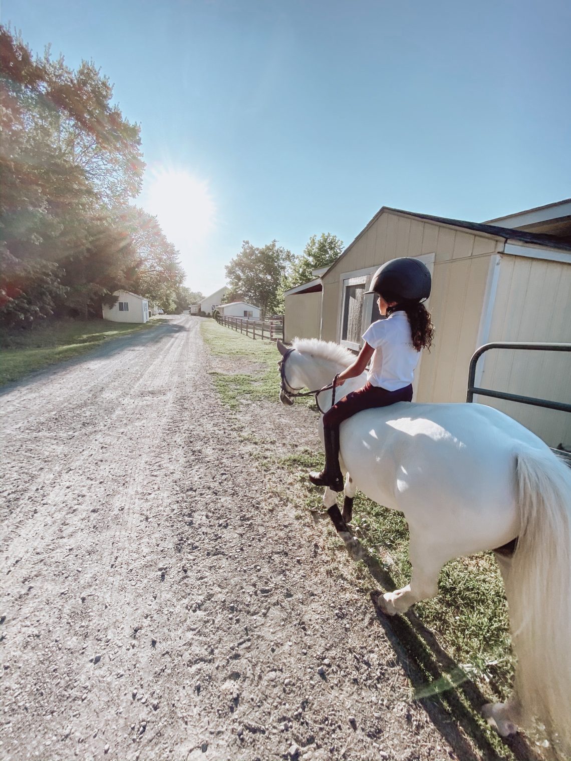 7 Best Boots for Horse Trail Riding in Harmony Horse Rookie