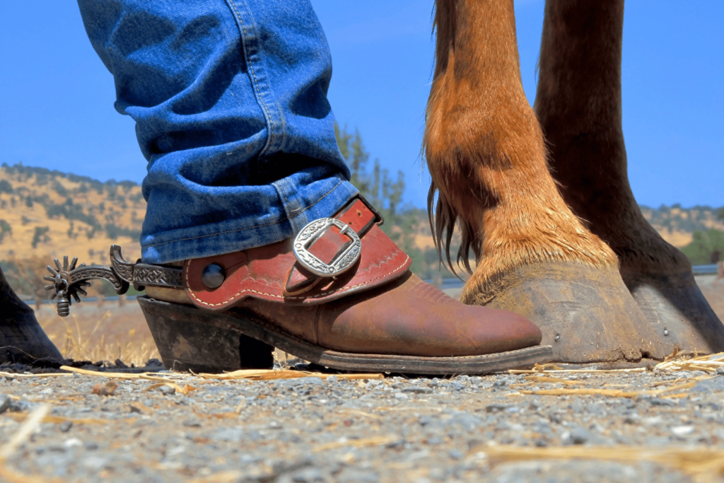 12 Best Everyday Horse Riding Boots for Happy Feet Horse Rookie