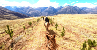 horse trail ride