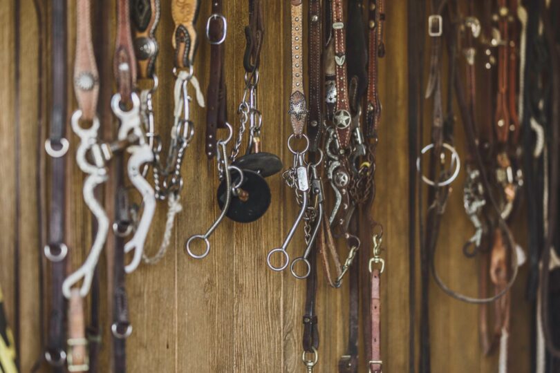 How much does horse tack cost? (English + Western)