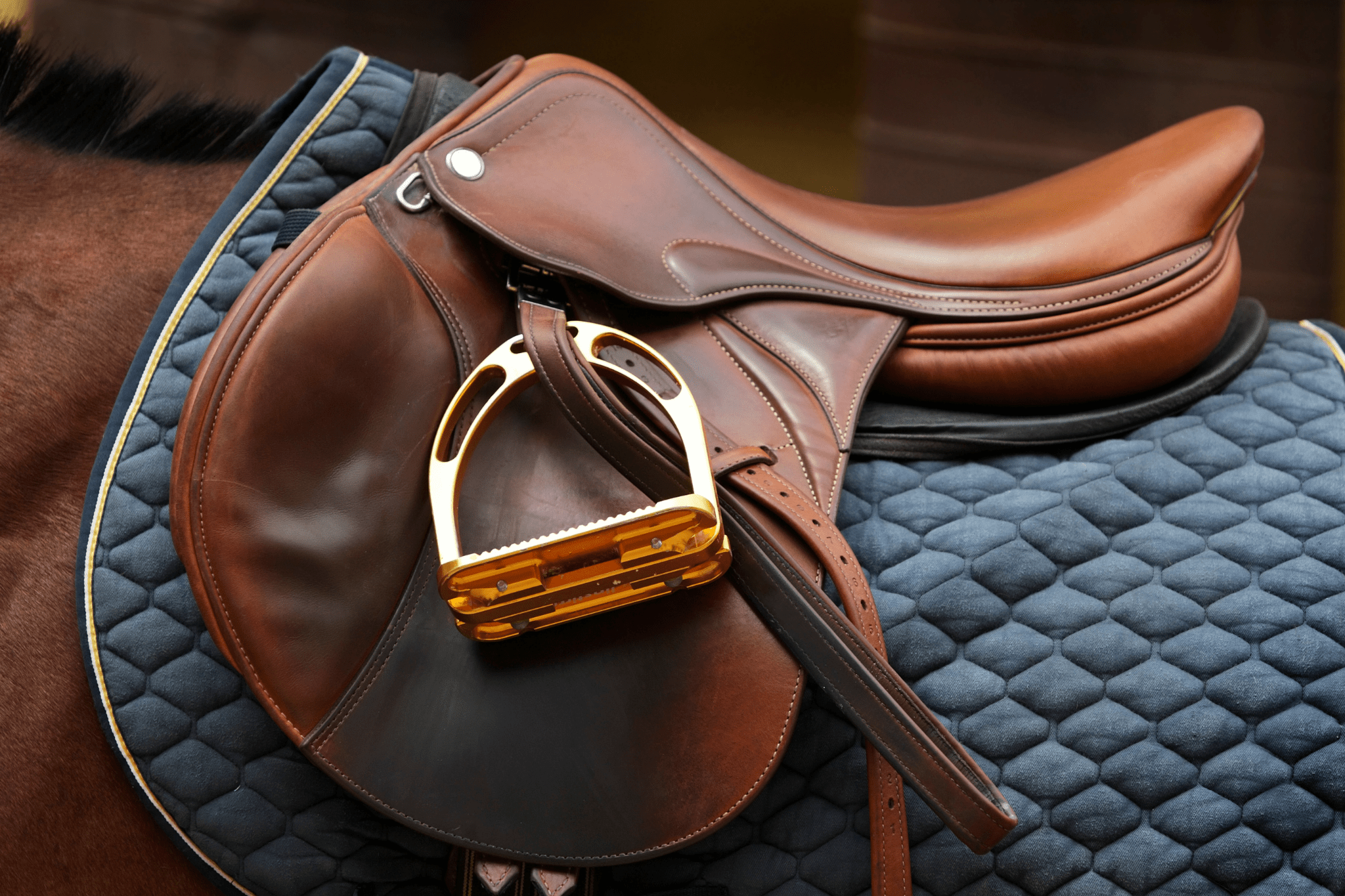 5-best-english-saddle-brands-on-the-market