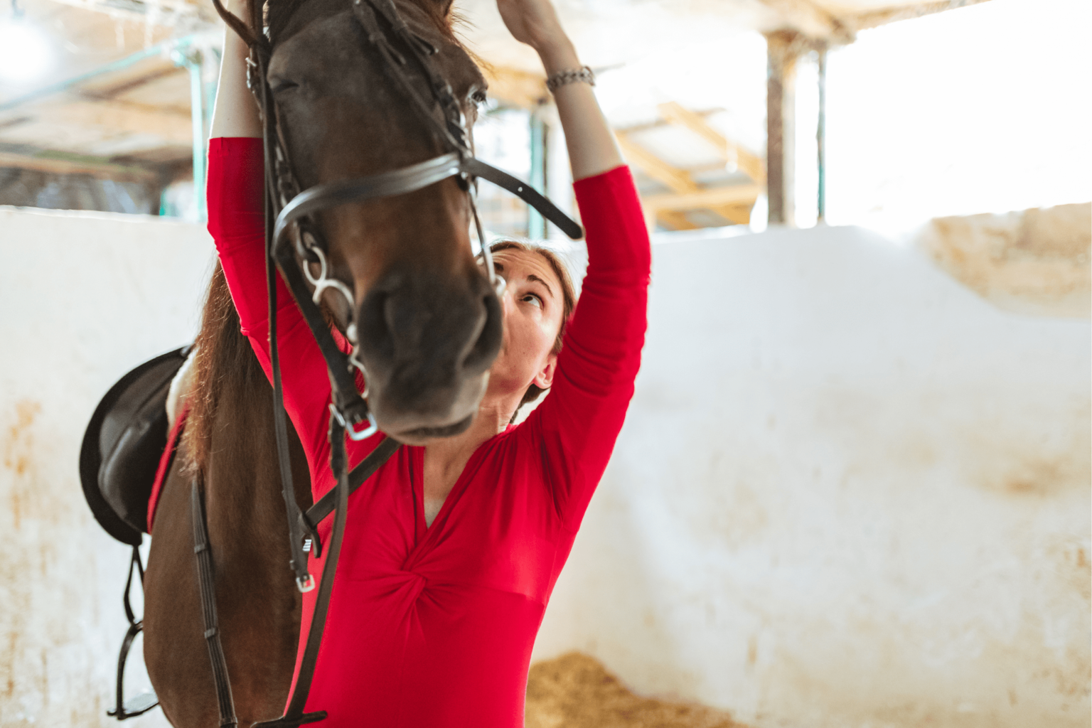 Bit by Bit A Helpful Illustrated Horse Bit Guide