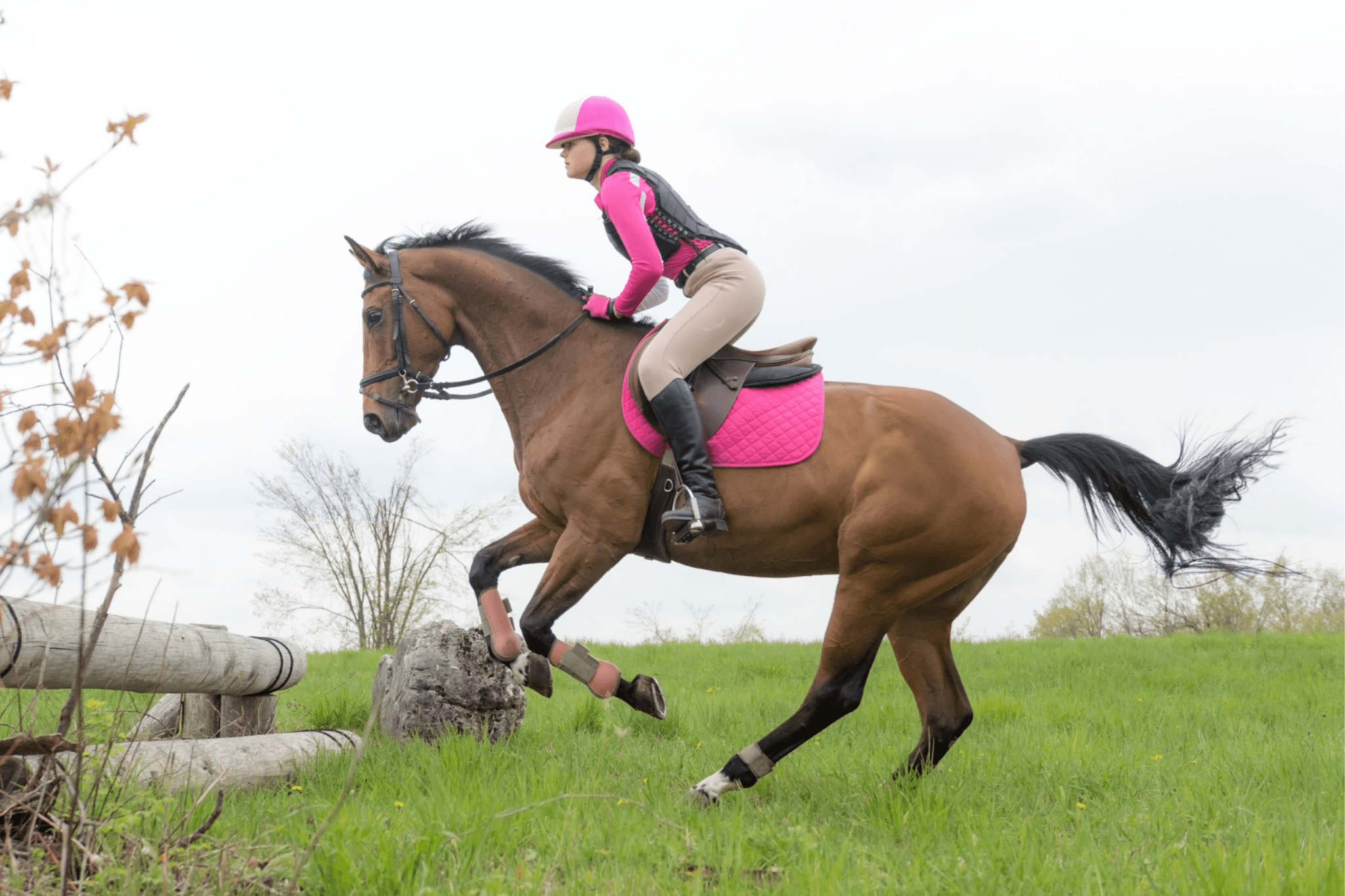 Rookie Rundown What to Wear to an English Horse Show Horse Rookie